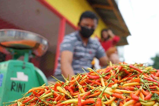Harga cabai rawit Rp64.940/kg dan bawang putih Rp42.600/kg Harga cabai rawit Rp64.940/kg dan bawang putih Rp42.600/kg