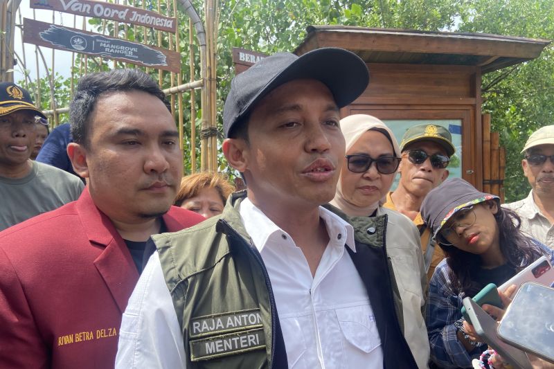 Menhut bantah deforestasi hutan melainkan pakai pola tumpang sari Menhut bantah deforestasi hutan melainkan pakai pola tumpang sari