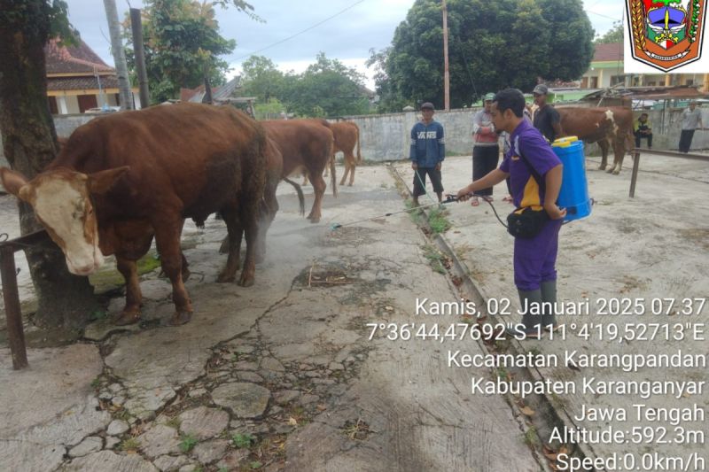 Karanganyar imbau peternak batasi transaksi antardaerah antisipasi PMK Karanganyar imbau peternak batasi transaksi antardaerah antisipasi PMK
