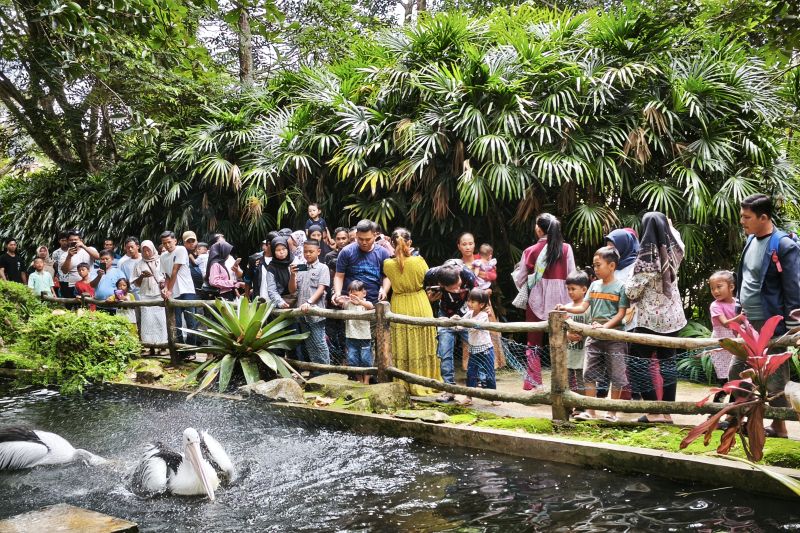 Lembah Hijau masih jadi objek wisata favorit wisatawan isi liburan Lembah Hijau masih jadi objek wisata favorit wisatawan isi liburan