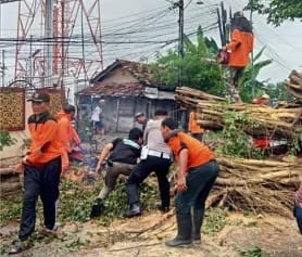 Hujan angin sebabkan pohon tumbang dan rumah tergerus longsor di Kudus Hujan angin sebabkan pohon tumbang dan rumah tergerus longsor di Kudus