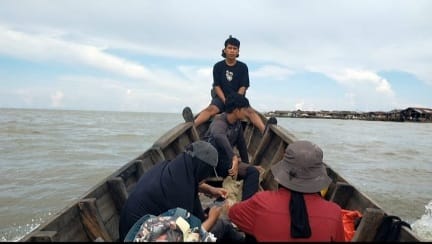 Warga dan petugas PT PLN Secanggang resah soal isu buaya di perairan Jaring Halus Warga dan petugas PT PLN Secanggang resah soal isu buaya di perairan Jaring Halus