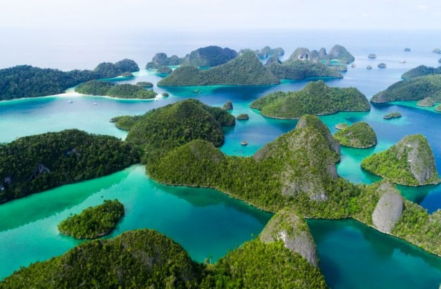 KKP lindungi populasi pari dan hiu dukung wisata bahari Raja Ampat KKP lindungi populasi pari dan hiu dukung wisata bahari Raja Ampat