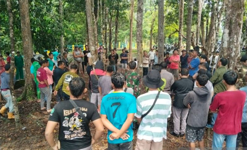 Pengamat sebut harimau ancam keselamatan warga Mukomuko