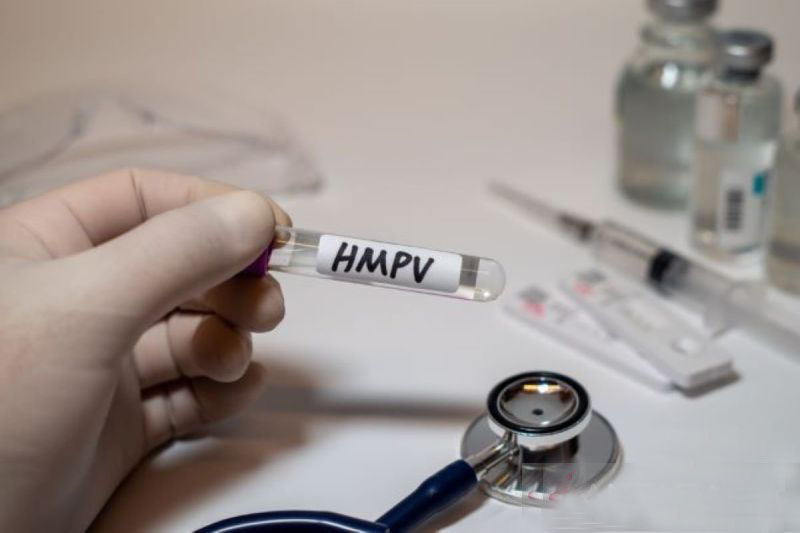 Seni memahami Human Metapneumovirus Seni memahami Human Metapneumovirus