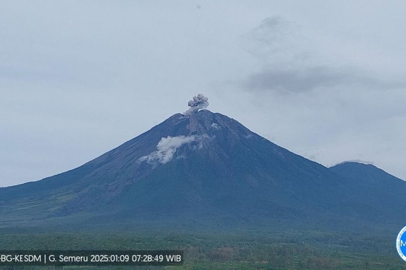 Gunung Semeru erupsi dengan letusan setinggi 500 meter Gunung Semeru erupsi dengan letusan setinggi 500 meter