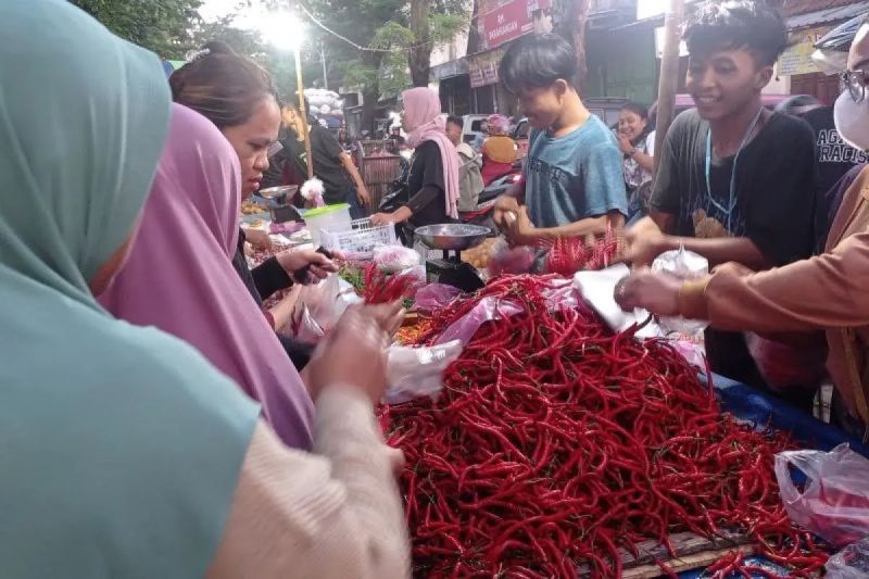 Disperindag Lebak sebut harga cabai rawit merah mulai turun