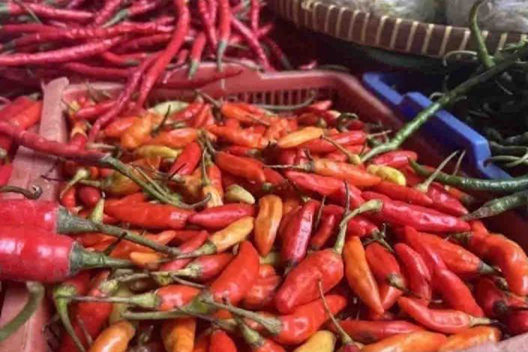Harga pangan Jumat turun, cabai rawit merah Rp66.690 per kg Harga pangan Jumat turun, cabai rawit merah Rp66.690 per kg