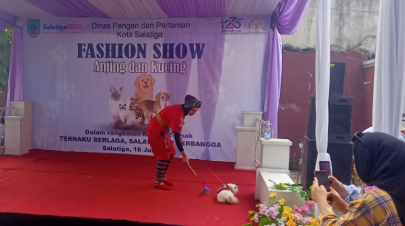Fashion show hewan piaraan meriahkan Hari Jadi Salatiga ke-1275 Fashion show hewan piaraan meriahkan Hari Jadi Salatiga ke-1275