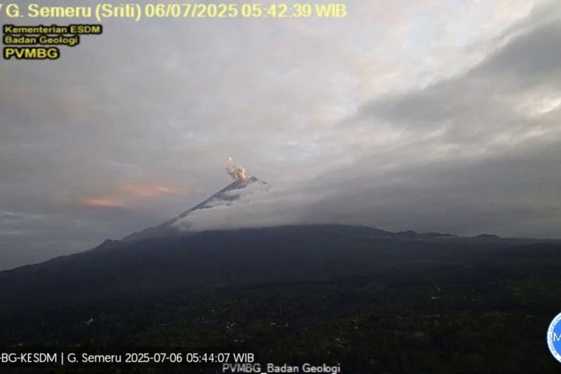 Gunung Semeru kembali erupsi dengan tinggi letusan 600 meter Gunung Semeru kembali erupsi dengan tinggi letusan 600 meter