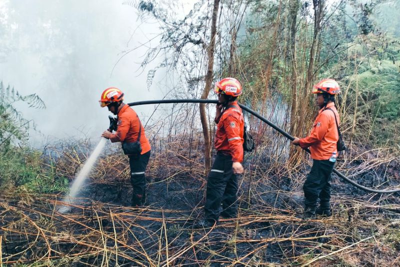 BMKG deteksi 586 titik panas di Riau dan 1.208 di Sumatera