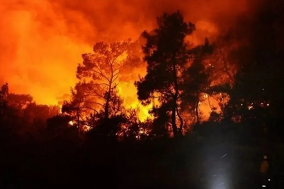 Keadaan darurat diumumkan usai kebakaran hutan dahsyat di Kreta timur Keadaan darurat diumumkan usai kebakaran hutan dahsyat di Kreta timur