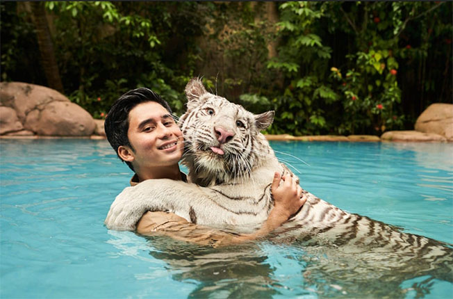 Lebih susah ngurus kucing dibanding harimau? Ini kata Alshad Ahmad