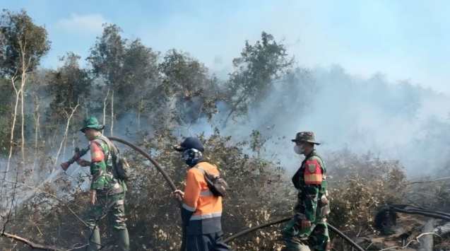 BPBD Muara Enim tambah personel padamkan api karhutla di dua desa BPBD Muara Enim tambah personel padamkan api karhutla di dua desa