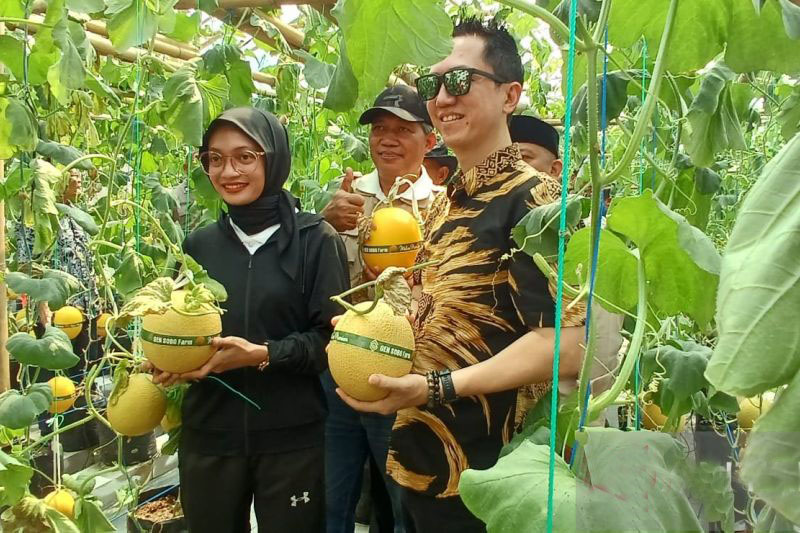 Pemkot Kediri dorong pemanfaatan lahan kosong guna budi daya pertanian Pemkot Kediri dorong pemanfaatan lahan kosong guna budi daya pertanian