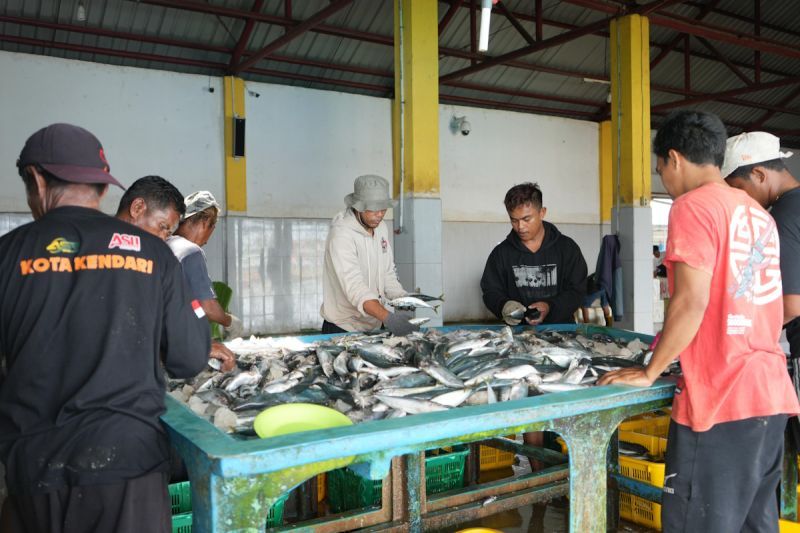 KKP perkuat kelembagaan nelayan lewat kopdes merah putih KKP perkuat kelembagaan nelayan lewat kopdes merah putih