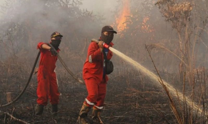 Pemprov Riau tetapkan status tanggap darurat kebakaran hutan dan lahan Pemprov Riau tetapkan status tanggap darurat kebakaran hutan dan lahan