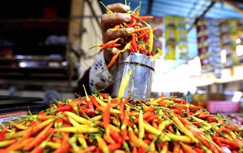 Bapanas: Harga cabai rawit Rp60.541/kg, bawang merah Rp41.773/kg Bapanas: Harga cabai rawit Rp60.541/kg, bawang merah Rp41.773/kg