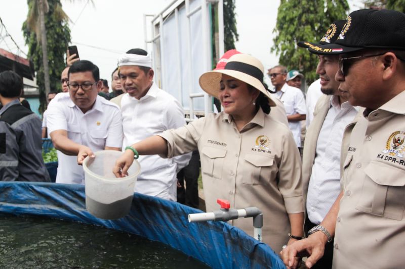 DPR RI dorong pengembangan budi daya perikanan terintegrasi teknologi DPR RI dorong pengembangan budi daya perikanan terintegrasi teknologi