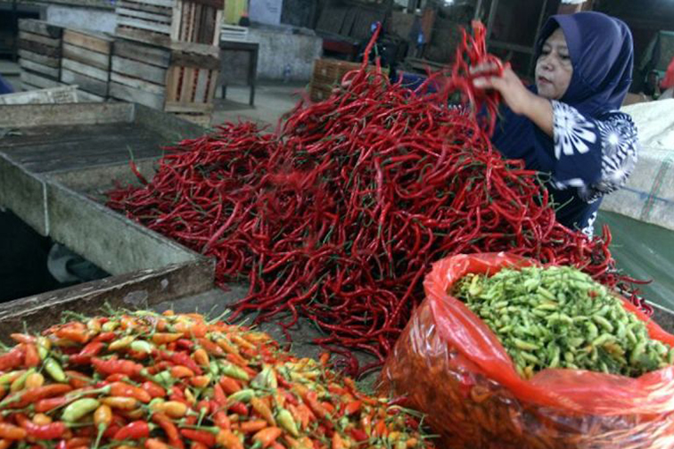 Bapanas: Harga cabai rawit Rp65.000/kg, bawang merah Rp50.000/kg Bapanas: Harga cabai rawit Rp65.000/kg, bawang merah Rp50.000/kg