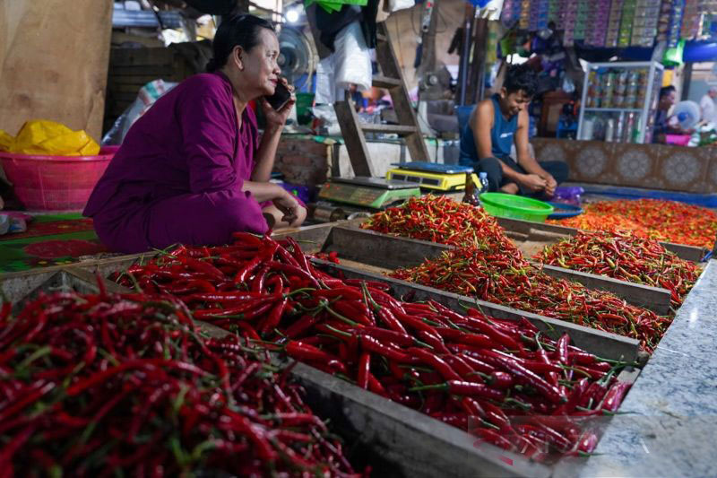 Pemkot: Harga cabai rawit di Kendari naik jadi Rp90 ribu per kg Pemkot: Harga cabai rawit di Kendari naik jadi Rp90 ribu per kg