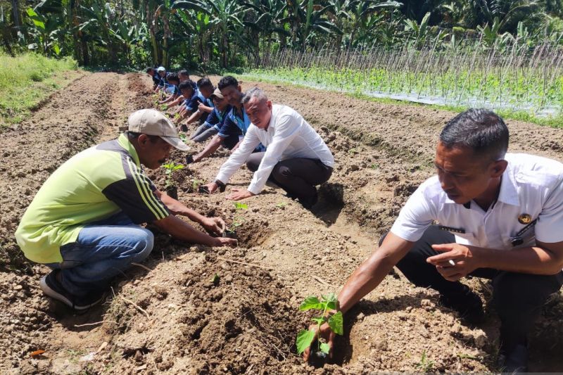 Lapas Piru Maluku gencarkan kemandirian pangan pada warga binaan