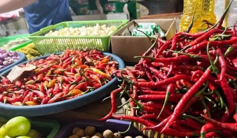 Bapanas: Harga cabai rawit Rp51.182/kg, bawang merah Rp41.200/kg Bapanas: Harga cabai rawit Rp51.182/kg, bawang merah Rp41.200/kg