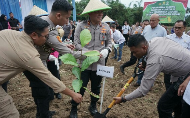 Polda Sulut dan jajaran tanam jagung serentak di lahan seluas 205 hektar Polda Sulut dan jajaran tanam jagung serentak di lahan seluas 205 hektar