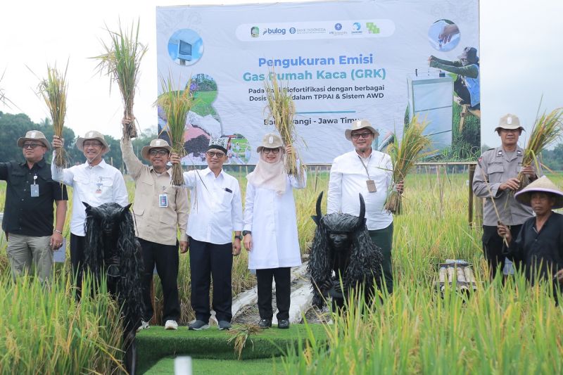 PAI kenalkan teknologi pertanian ramah lingkungan dan produktif PAI kenalkan teknologi pertanian ramah lingkungan dan produktif