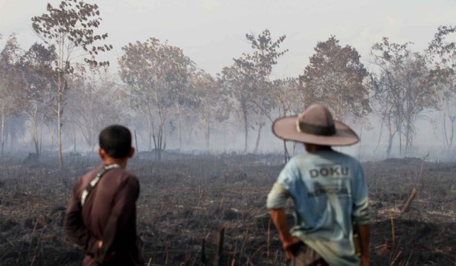 Pemerintah keroyokan merestorasi lahan gambut yang terbakar Pemerintah keroyokan merestorasi lahan gambut yang terbakar