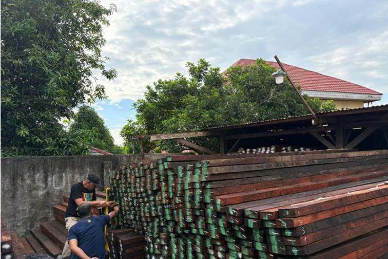 Kemenhut RI tetapkan tersangka distribusi ratusan kayu merbau ilegal Kemenhut RI tetapkan tersangka distribusi ratusan kayu merbau ilegal