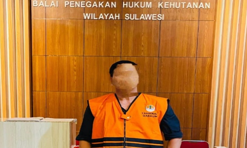 Gakkum Kehutanan tetapkan Direktur PT BCA tersangka peredaran hasil hutan ilegal Gakkum Kehutanan tetapkan Direktur PT BCA tersangka peredaran hasil hutan ilegal