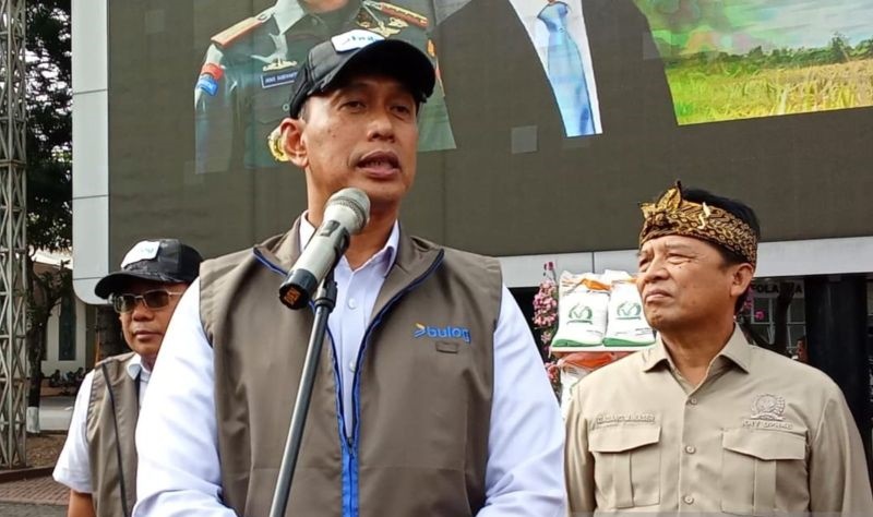 Bulog sebut stok beras akan bertambah usai catat rekor 4,2 juta ton Bulog sebut stok beras akan bertambah usai catat rekor 4,2 juta ton