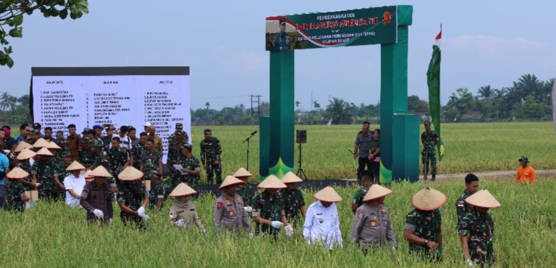 TNI wujudkan aksi nyata, dukung ketahanan pangan nasional TNI wujudkan aksi nyata, dukung ketahanan pangan nasional