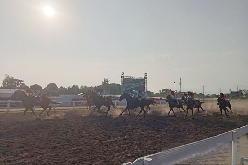 Sebanyak 156 kuda berlaga dalam IHR Indonesia Derby di Stadion Bantul