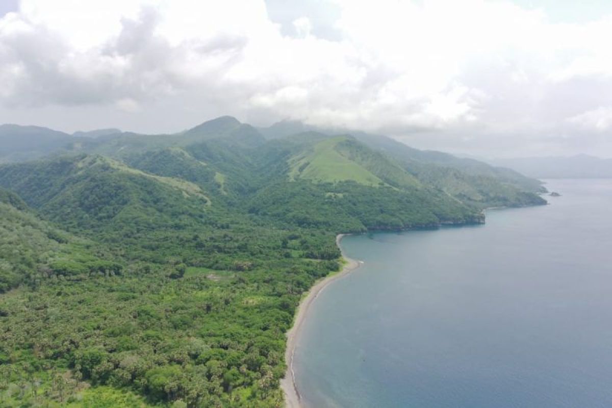 18 Juli 1979: Tsunami Lembata terjang Teluk Waiteba, ratusan nyawa melayang 18 Juli 1979: Tsunami Lembata terjang Teluk Waiteba, ratusan nyawa melayang