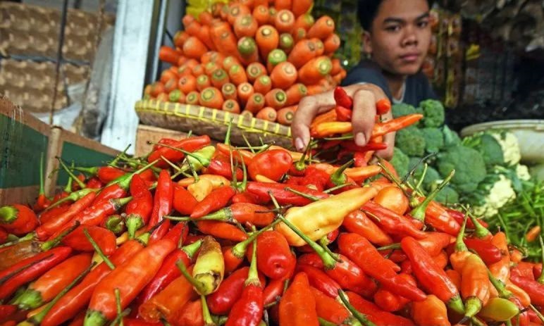 Bapanas: Harga cabai rawit Rp64.353/kg, bawang merah Rp44.894/kg Bapanas: Harga cabai rawit Rp64.353/kg, bawang merah Rp44.894/kg