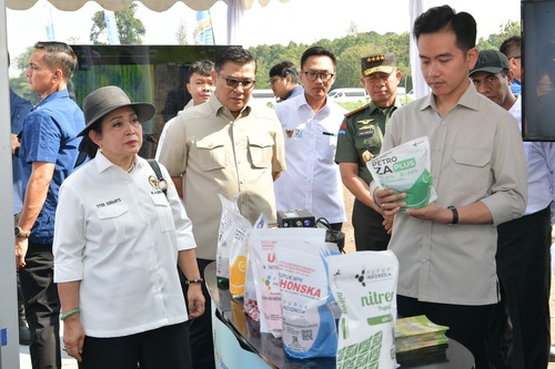 Capai swasembada gula, Gibran ingin libatkan anak muda