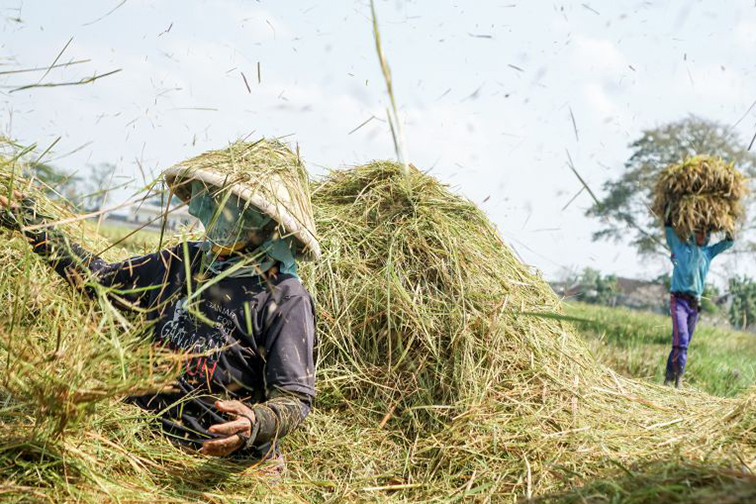 Pangan kuat, negara berdaulat