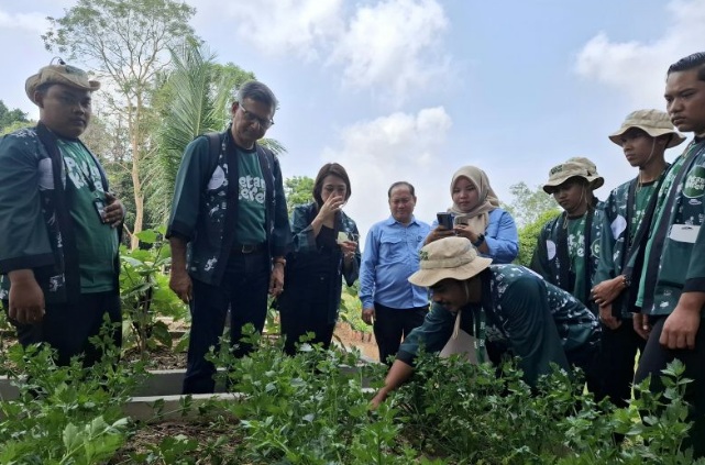 FAO: Petani Keren tumbuhkan ketertarikan generasi muda akan pertanian FAO: Petani Keren tumbuhkan ketertarikan generasi muda akan pertanian