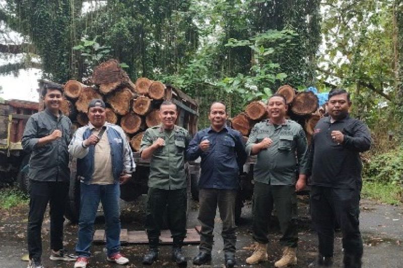 Polhutmob gagalkan aksi pembalakan liar di wilayah hutan Banyuwangi Polhutmob gagalkan aksi pembalakan liar di wilayah hutan Banyuwangi