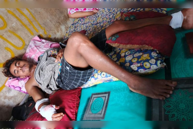 Beruang madu serang pekerja sawit di Kotim Kalteng