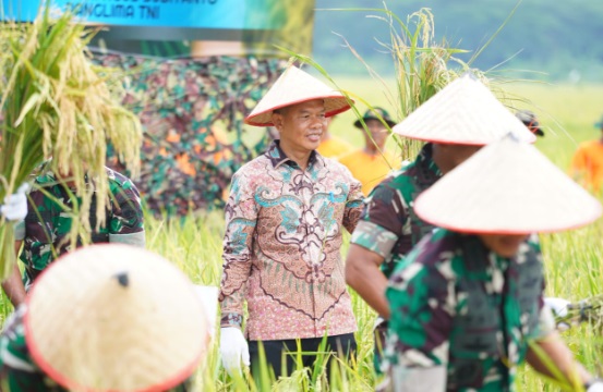 Panglima TNI hadiri panen raya padi di wilayah Kodam I/BB Panglima TNI hadiri panen raya padi di wilayah Kodam I/BB