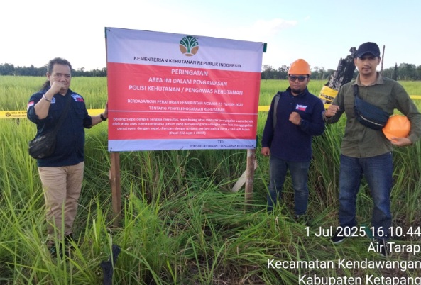 Gakkum kehutanan sasar pemegang perijinan kehutanan Gakkum kehutanan sasar pemegang perijinan kehutanan