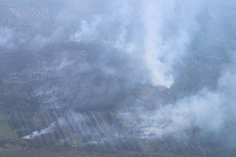 BNPB: 16 orang ditetapkan tersangka kasus pembakaran lahan di Riau BNPB: 16 orang ditetapkan tersangka kasus pembakaran lahan di Riau