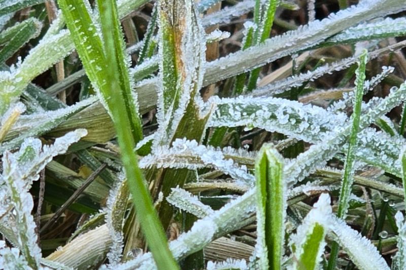 BMKG: Suhu minimum di Dieng capai minus 2 derajat celcius BMKG: Suhu minimum di Dieng capai minus 2 derajat celcius