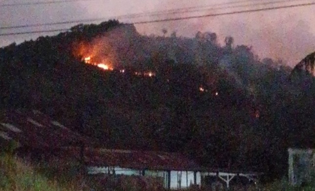 WALHI: Titik api terdeteksi di Kalbar dalam area konsesi WALHI: Titik api terdeteksi di Kalbar dalam area konsesi