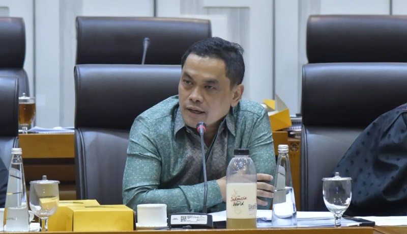 Banggar: Pemerintah tetapkan 219 PSN ke dalam rencana kerja 2026