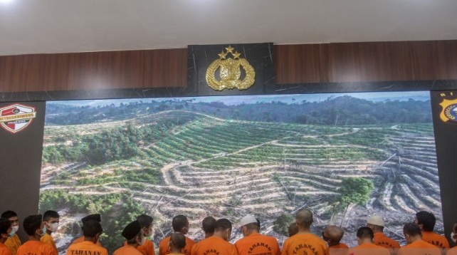 BNPB: 44 orang ditetapkan tersangka kasus karhutla di Riau BNPB: 44 orang ditetapkan tersangka kasus karhutla di Riau
