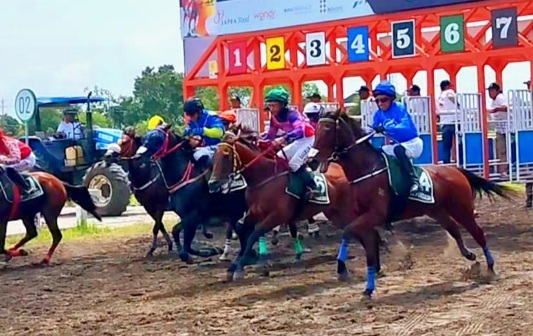 156 kuda ikuti adu cepat di Indonesias Horse Racing Derby 2025Â 156 kuda ikuti adu cepat di Indonesias Horse Racing Derby 2025Â